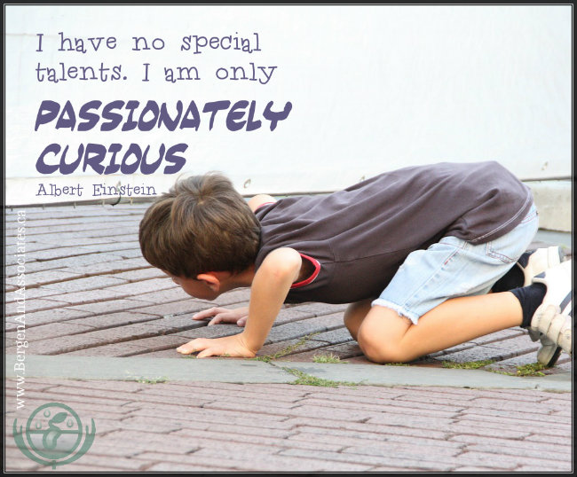 I have to special talent, I am only passionately curious. Quote by Albert Einstein